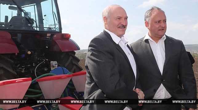 Лукашэнка ў Малдове працаваў на трактары (фота)