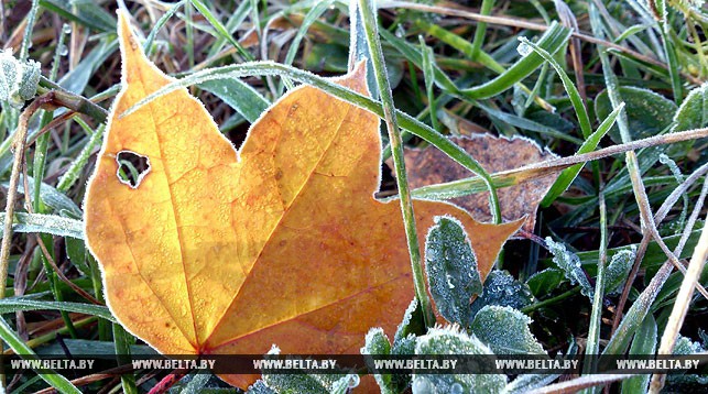 У пятніцу ў Беларусі чакаюцца замаразкі да мінус 6 градусаў