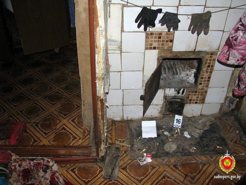 Памочнік па гаспадарцы забіў пенсіянерку ў Бярэзінскім раёне