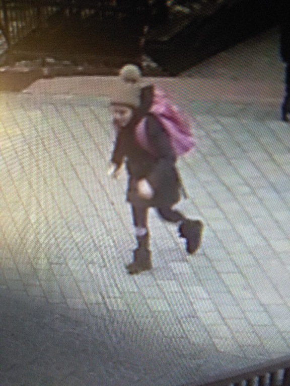Дзве 11-гадовыя мінскія школьніцы збіраліся ўцячы ў Літву