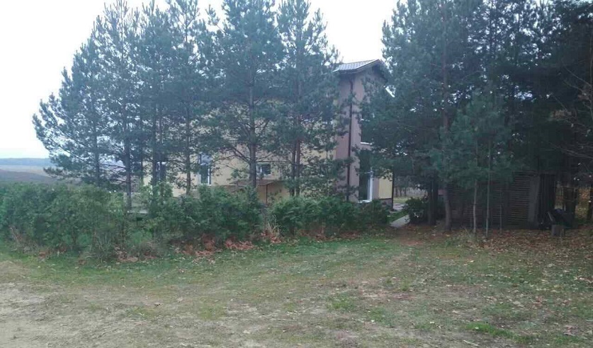 У Дзяржынскім раёне ўзброеныя жанчына і мужчына напалі на аграсядзібу