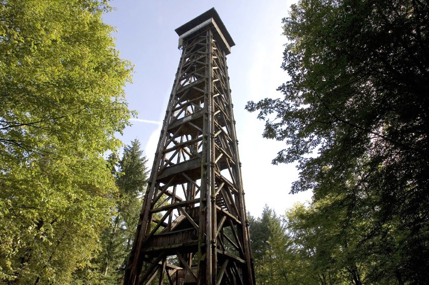 У Франкфурце згарэла драўляная назіральная вежа Гётэ (фота, відэа)