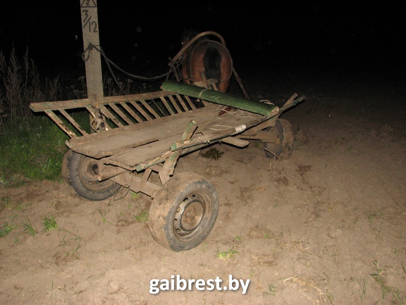 У Столінскім раёне матацыкліст сутыкнуўся з возам і загінуў