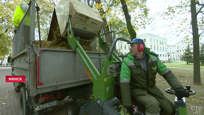 У Мінску апалае лісце прыбіраюць камбайнам, які замяняе 10 працоўных рук