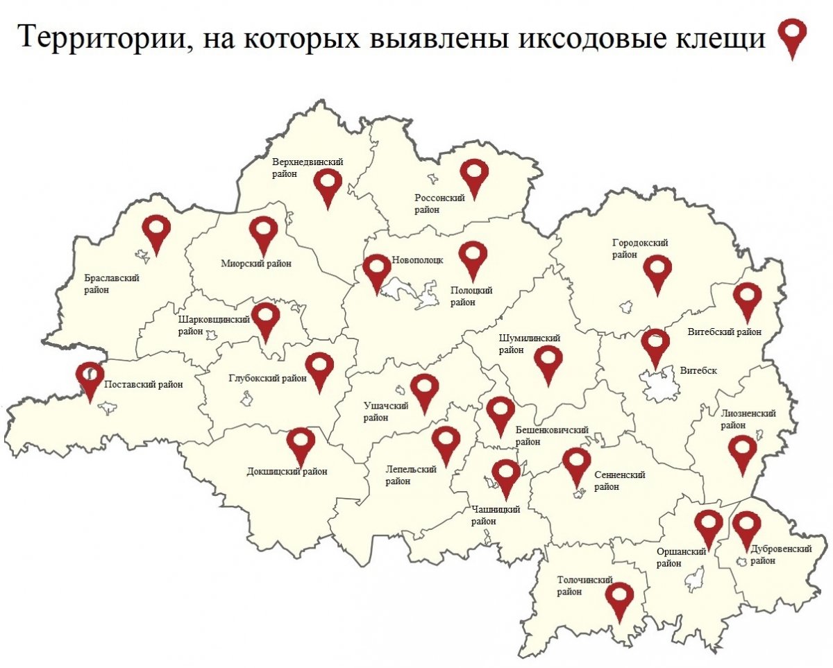Ад укусаў кляшчоў на Віцебшчыне пацярпелі каля 3700 чалавек