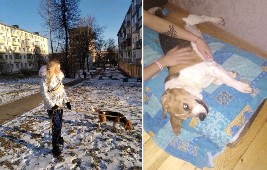 Забастовщицу с МТЗ забрали в РУВД, когда она с 7-летним сыном выгуливала собаку