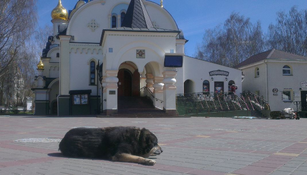 "Через чашу святую не передаётся": COVID-19 в Свято-Елисаветинском монастыре