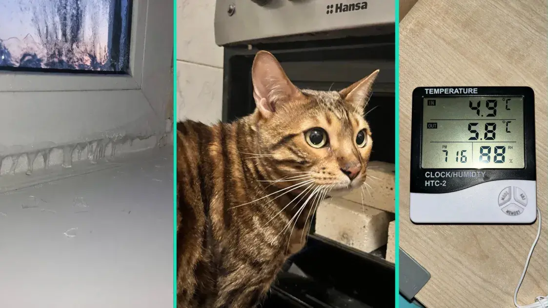 “Мы замерзаем, как в 40-х, просто медленнее”: как Киев выживает в блэкаут