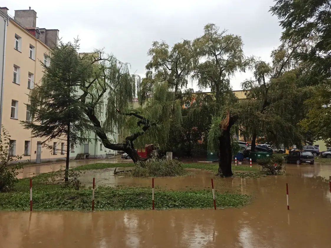 Вялікая вада. Як Польшча перажыла гістарычную паводку — рэпартаж