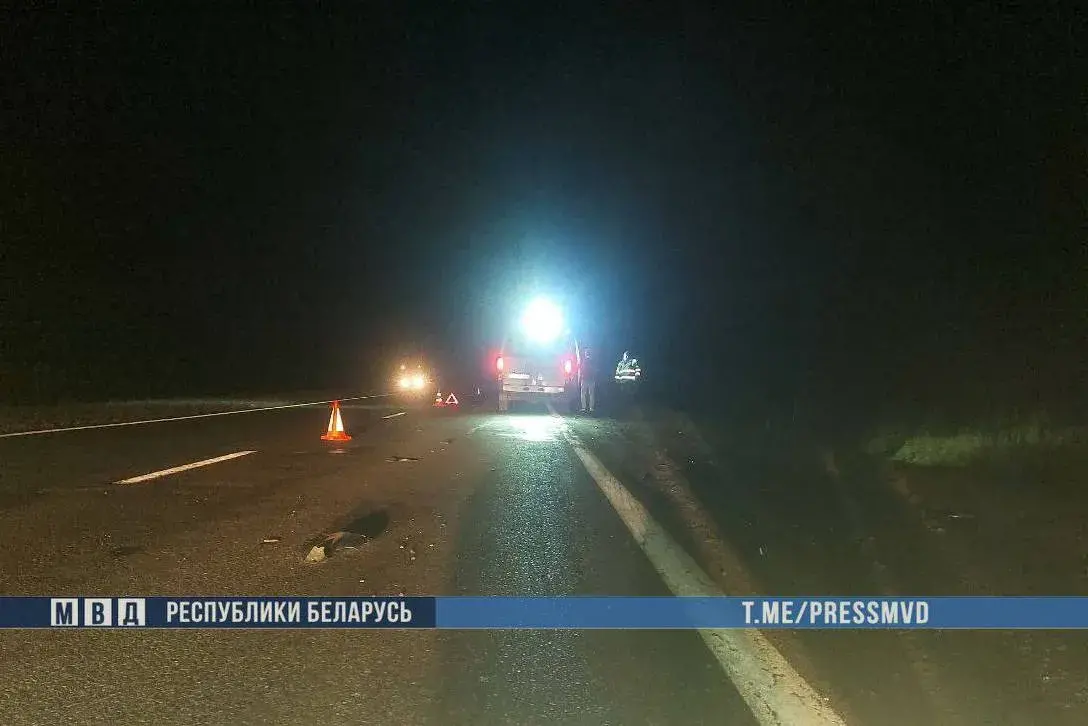 На Гомельшчыне п'яныя пешаходы трапілі пад грузавік, двое загінулых