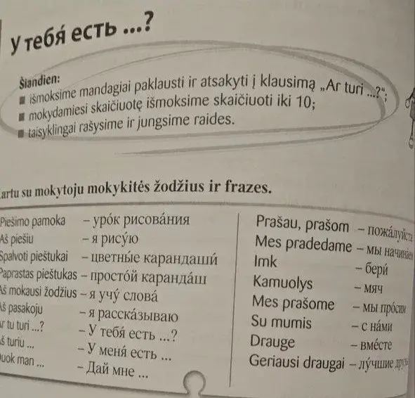 Мост к интеграции: готовы ли мигранты перейти на литовский язык?