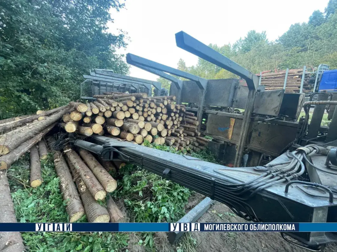 На трасе Шклоў — Магілёў перакуліўся лесавоз з грузам