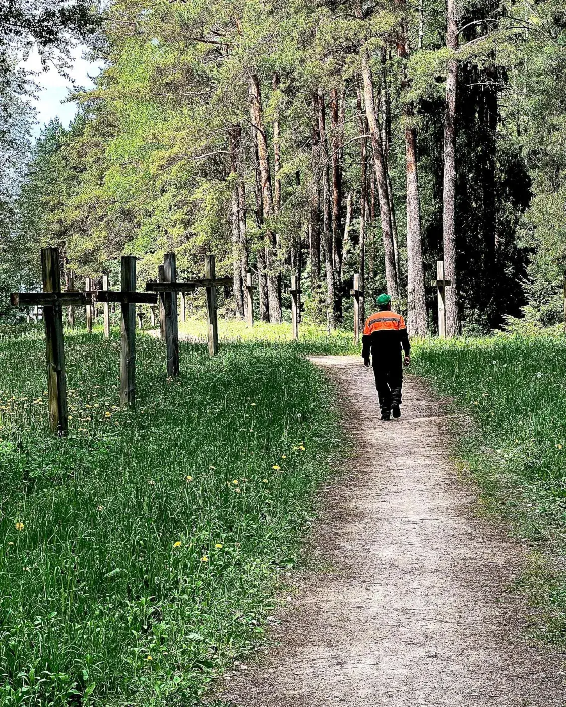 У Курапатах супрацоўнікі лясгаса спілоўвалі дрэвы, некаторыя ўпалі на крыжы