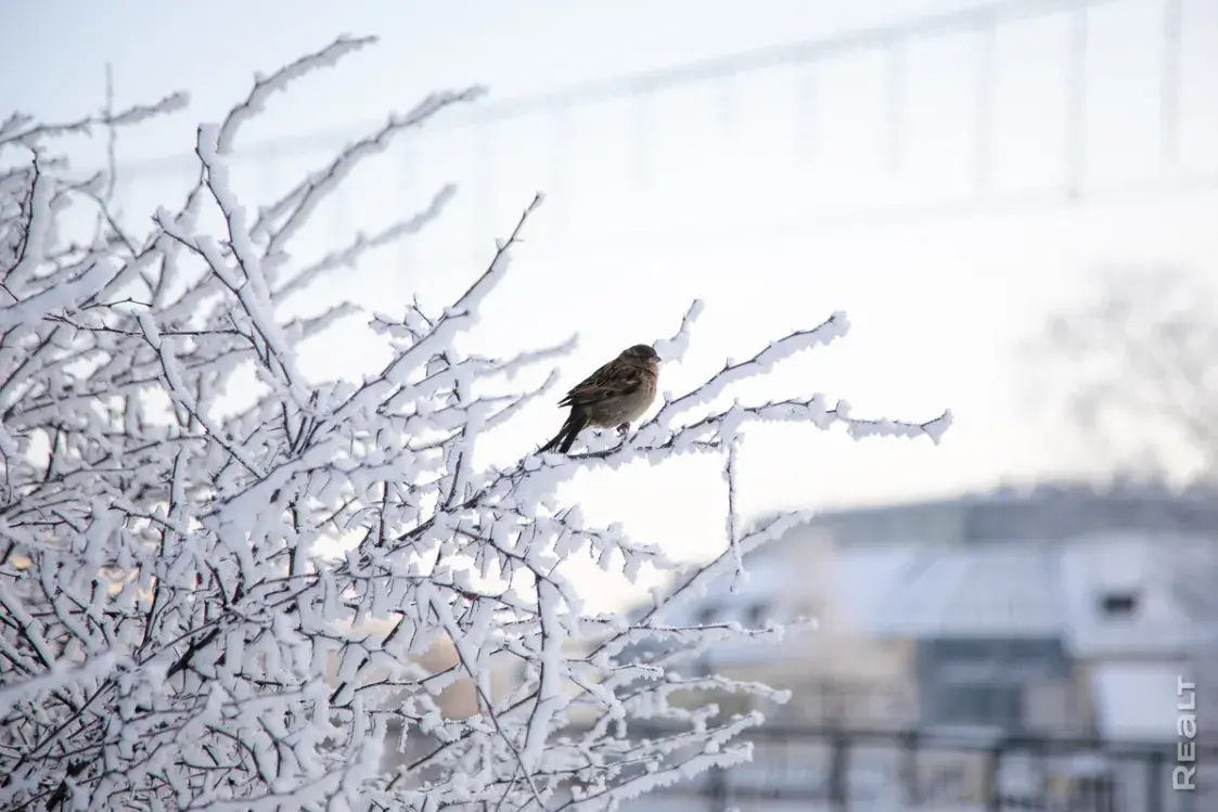 Минск под снегом. Атмосферный фотофакт