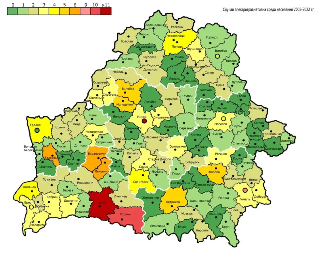 У Івацэвічах жанчына ратавала ката з электрашчытавай і загінула