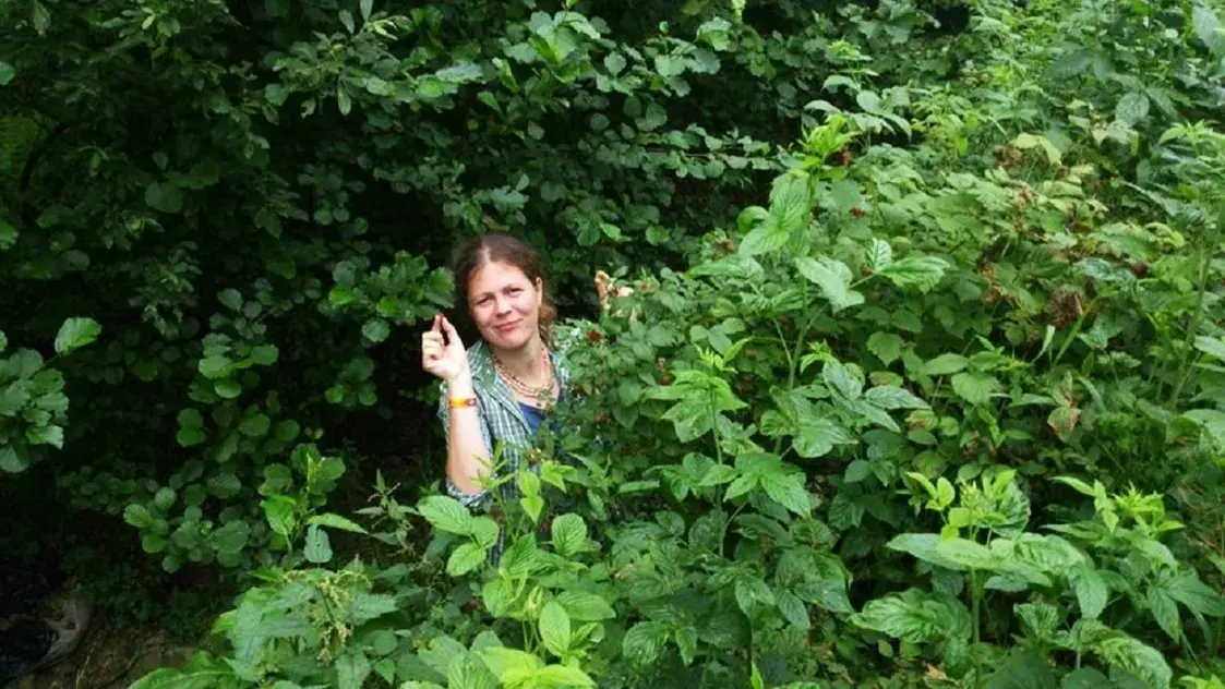 Клещей в Беларуси стало в полтора раза больше. Но поливать леса ДДТ — не выход
