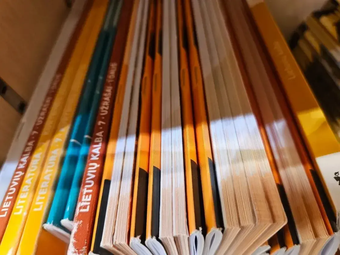 Мост к интеграции: готовы ли мигранты перейти на литовский язык?