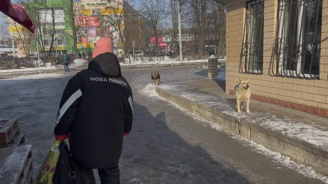 “Моцна смярдзела. Не тэхнікай, а людзьмі”. Буча праз чатыры гады пасля акупацыі