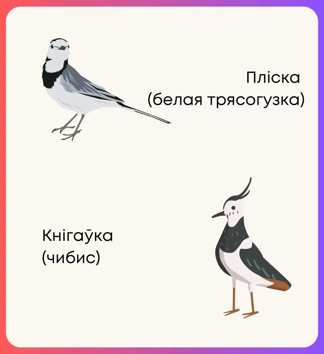Белорусские птицы названия