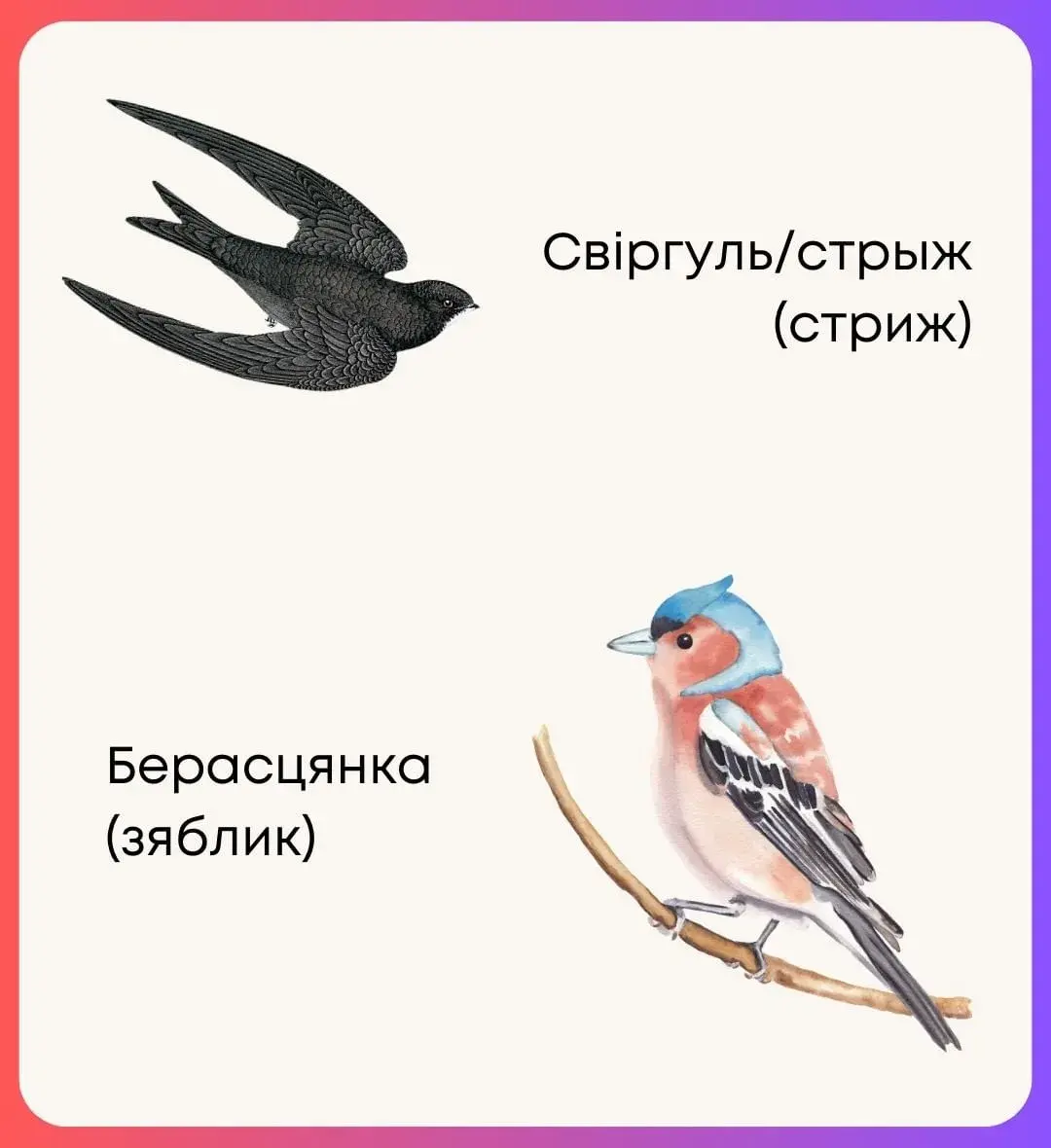 Белорусские названия птиц