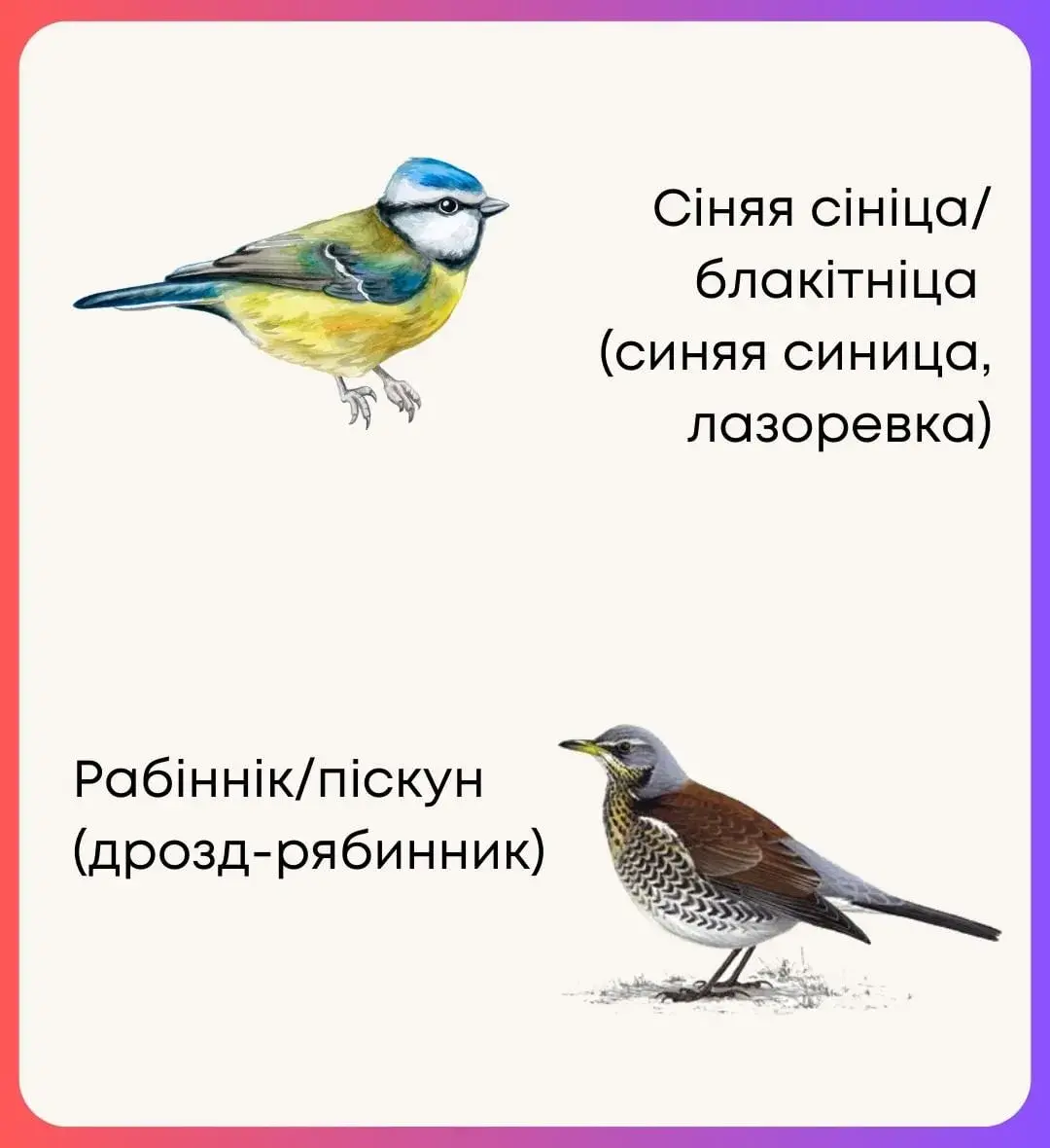 Беларускія назвы птушак