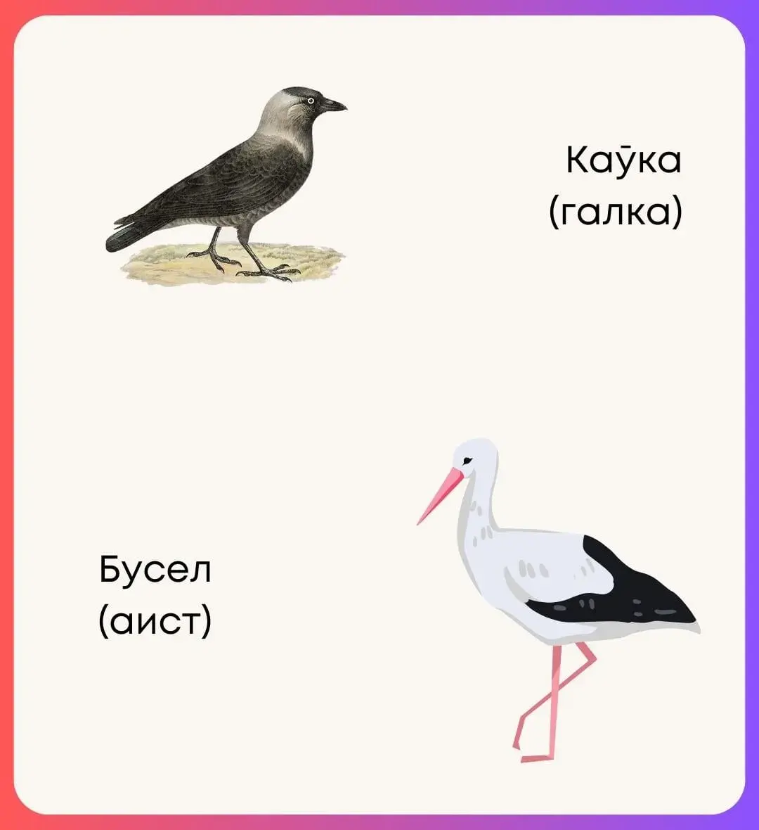 Аист на белорусском