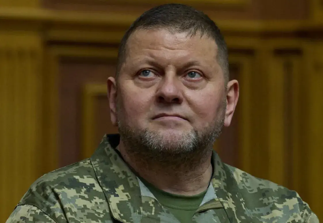 Генерал Залужны атрымаў у спадчыну мільён долараў і ахвяраваў яго на УСУ