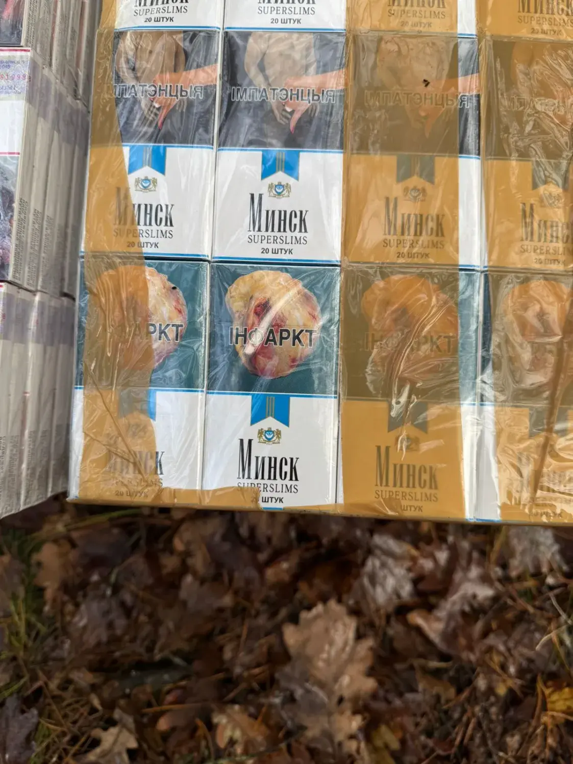 Паветраны шар з беларускай кантрабандай выявілі ва Украіне