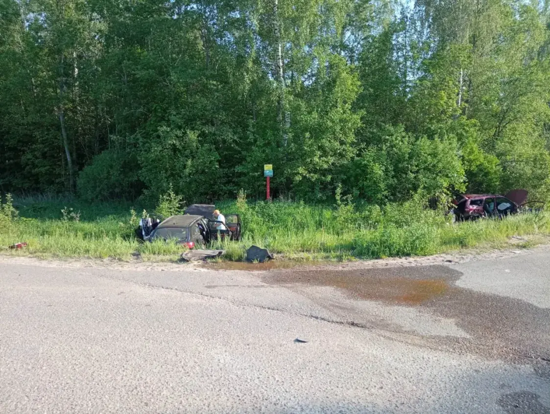В ДТП в Минской области погибла девочка-подросток