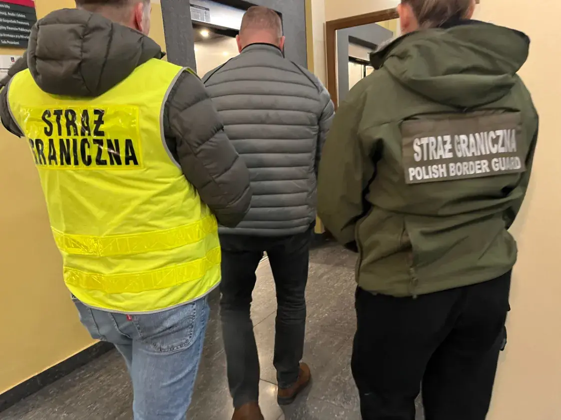 За ўвоз санкцыйнай беларускай фанеры ў Польшчы затрымалі пяць чалавек