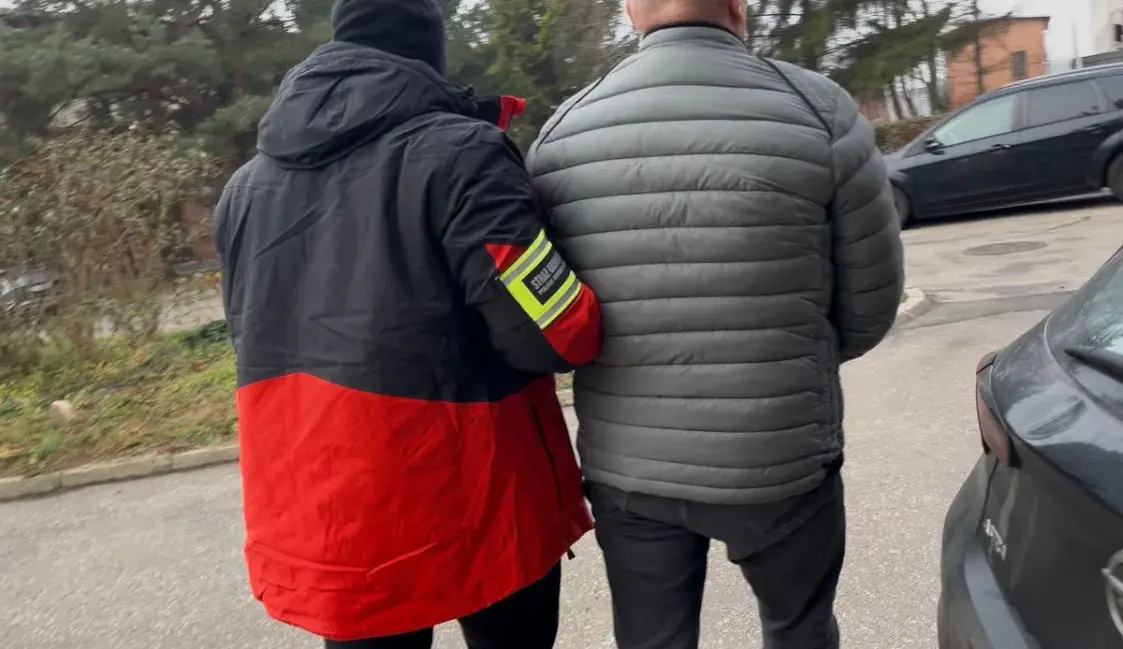 За ўвоз санкцыйнай беларускай фанеры ў Польшчы затрымалі пяць чалавек