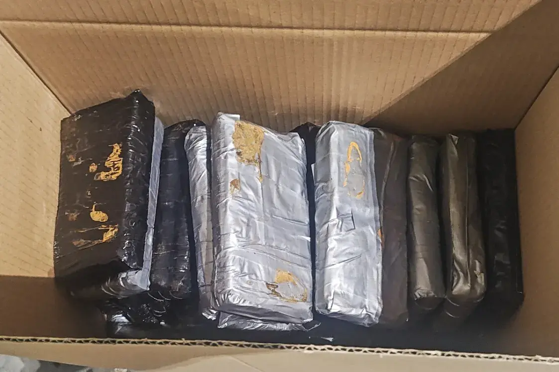 Беларус вёз у Польшчу 111 кг гашышу