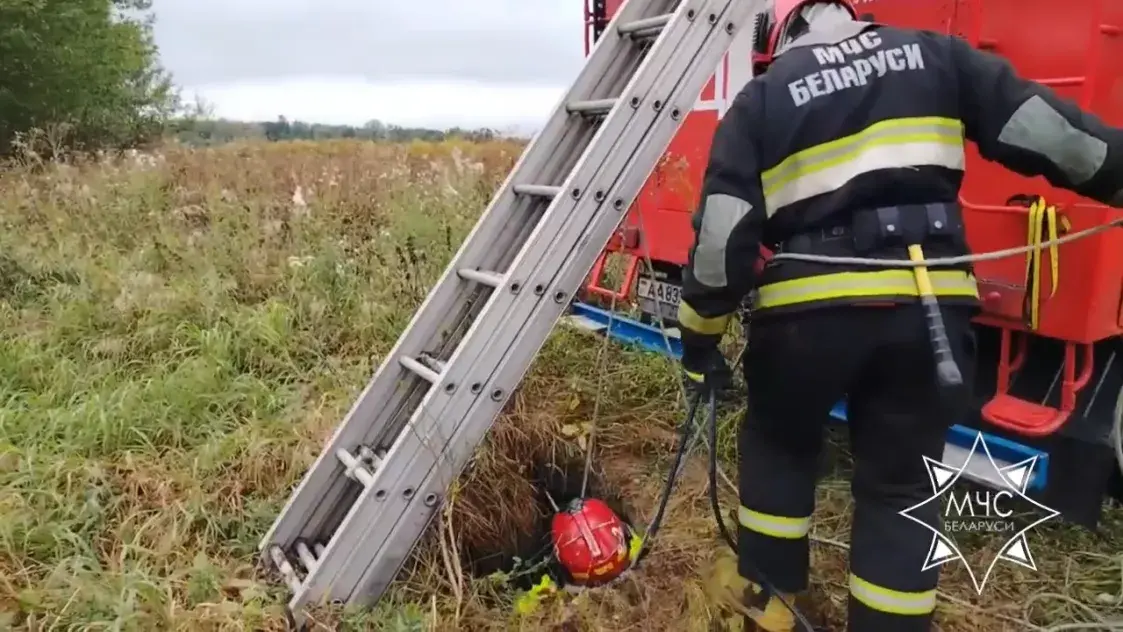 МЧС спасло собак, упавших в колодец
