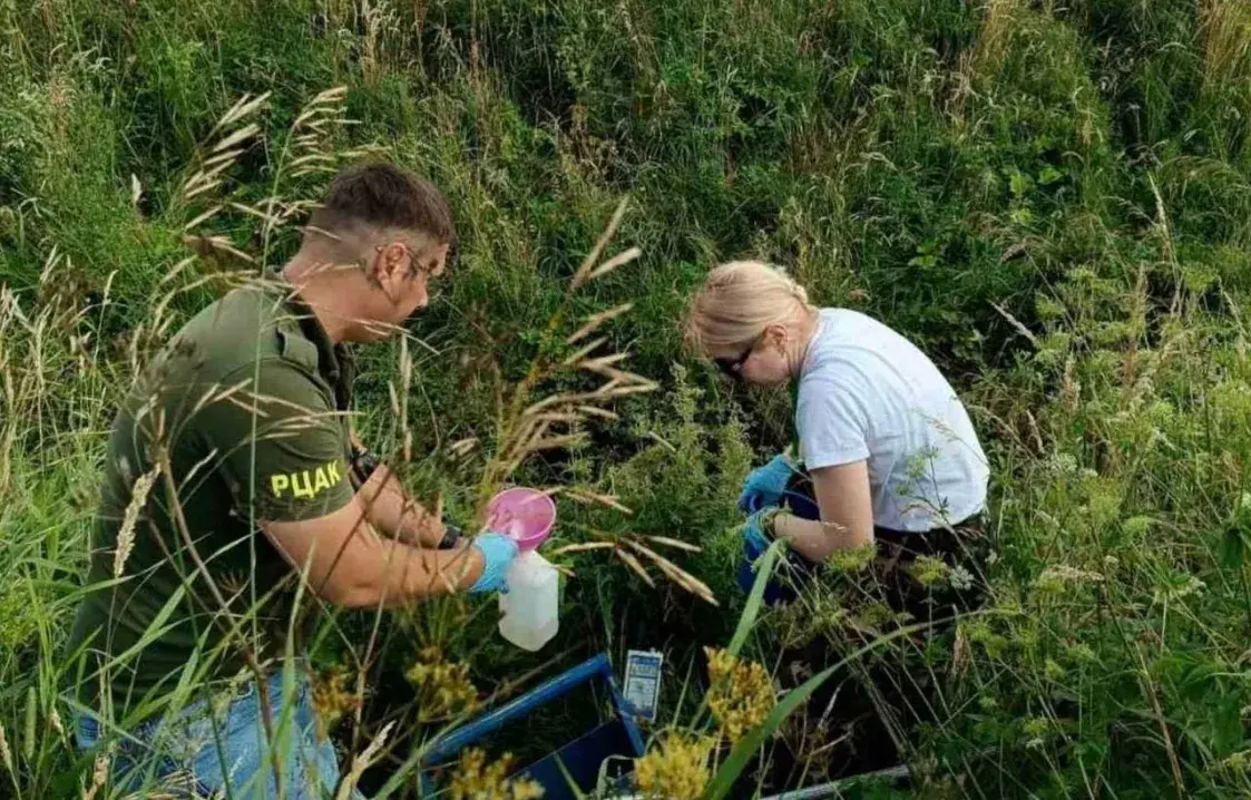 Ад сцёкаў з фермы ў рацэ на Навагрудчыне загінула рыба
