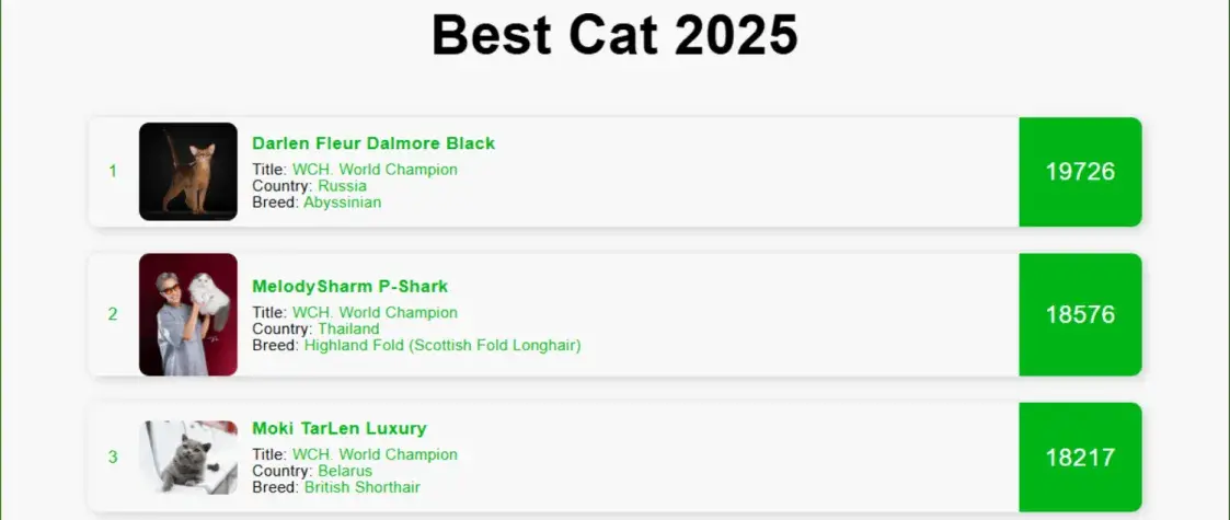 Кот з Беларусі ўвайшоў у тройку самых прыгожых у свеце