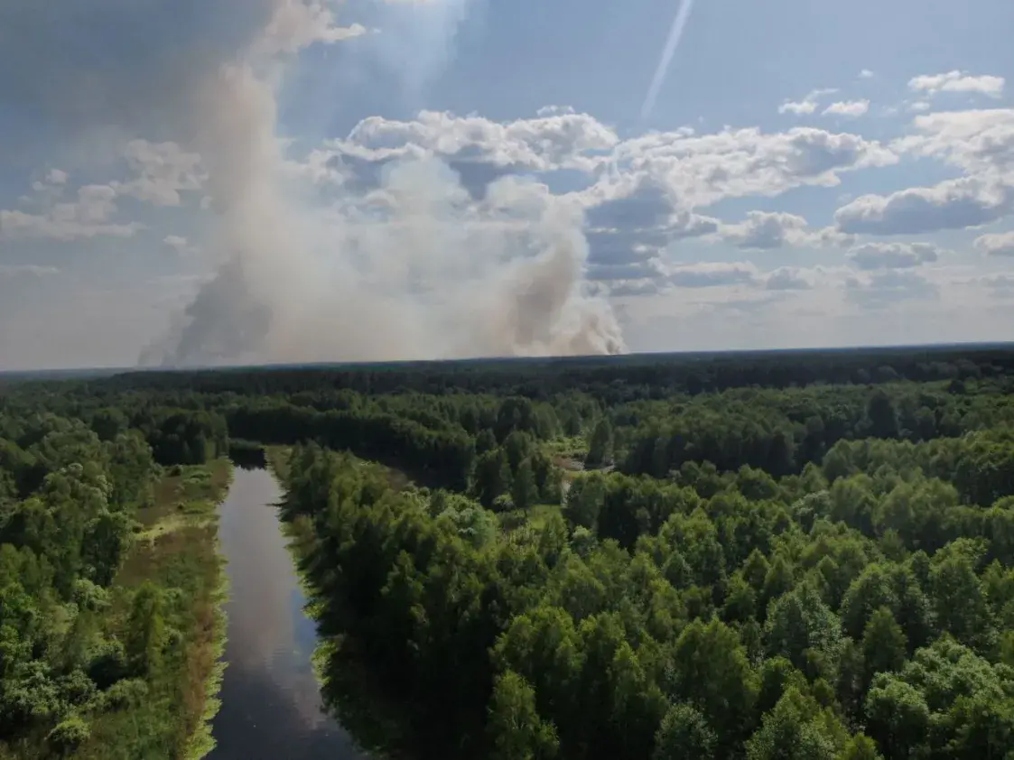 Ва Украіне на мяжы з Беларуссю гараць лясы