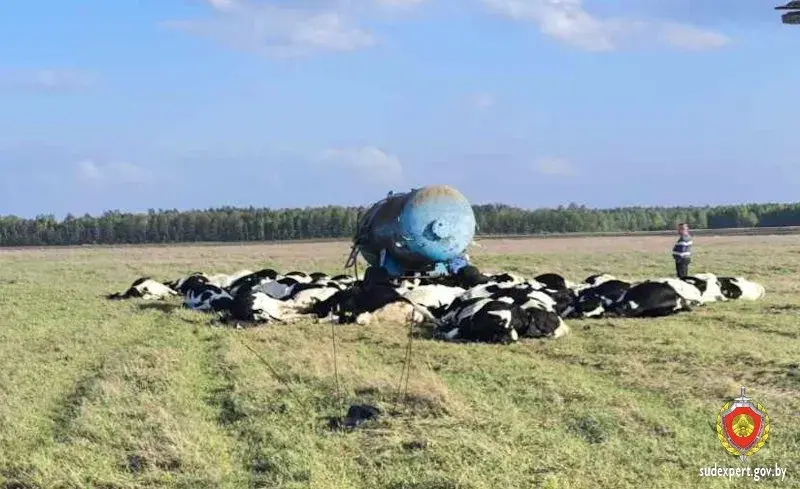 Мужчына ў Петрыкаўскім раёне выжыў пасля ўдару маланкі