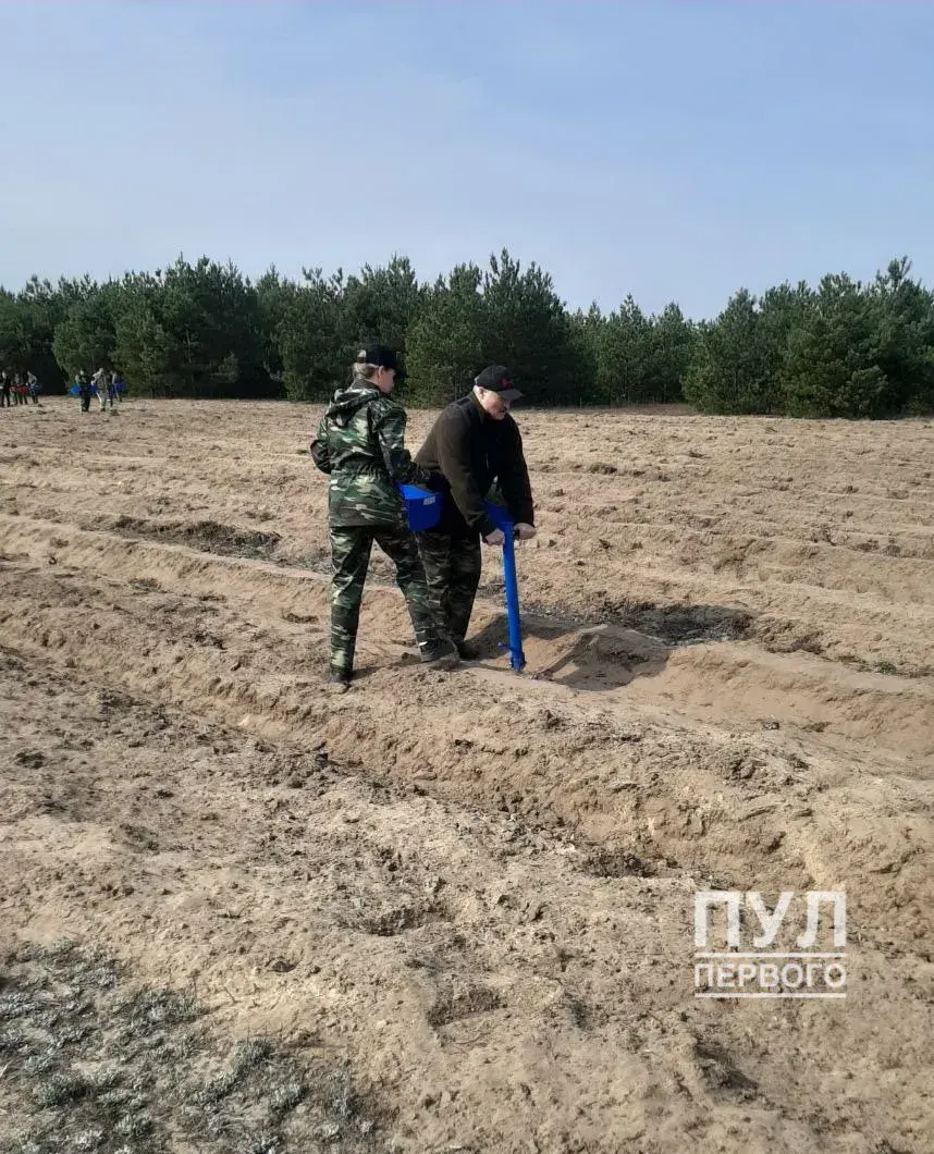 Лукашенко прогулял субботник. А что он на них делал раньше?