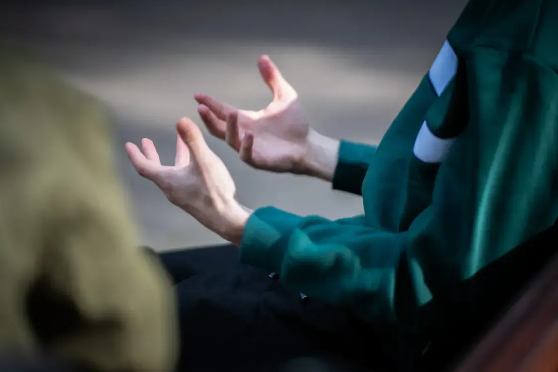 “Воевать с белорусами — абсурд”. Как в Литве встретили начало учений “Запад”