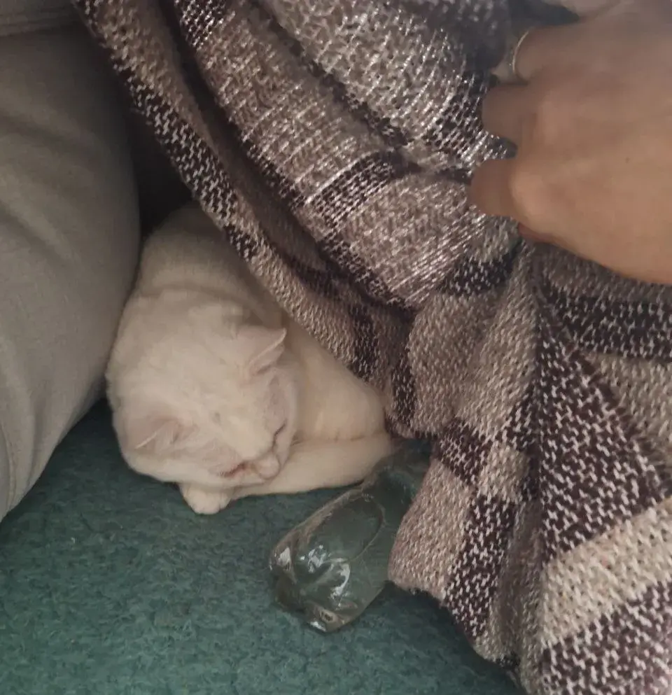 “Мы замерзаем, как в 40-х, просто медленнее”: как Киев выживает в блэкаут