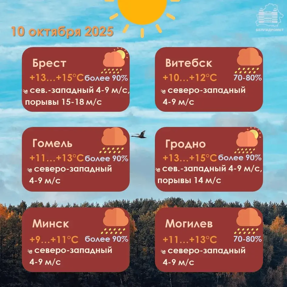 У пятніцу ў Беларусі прагназуюць дажджы на большай частцы тэрыторыі