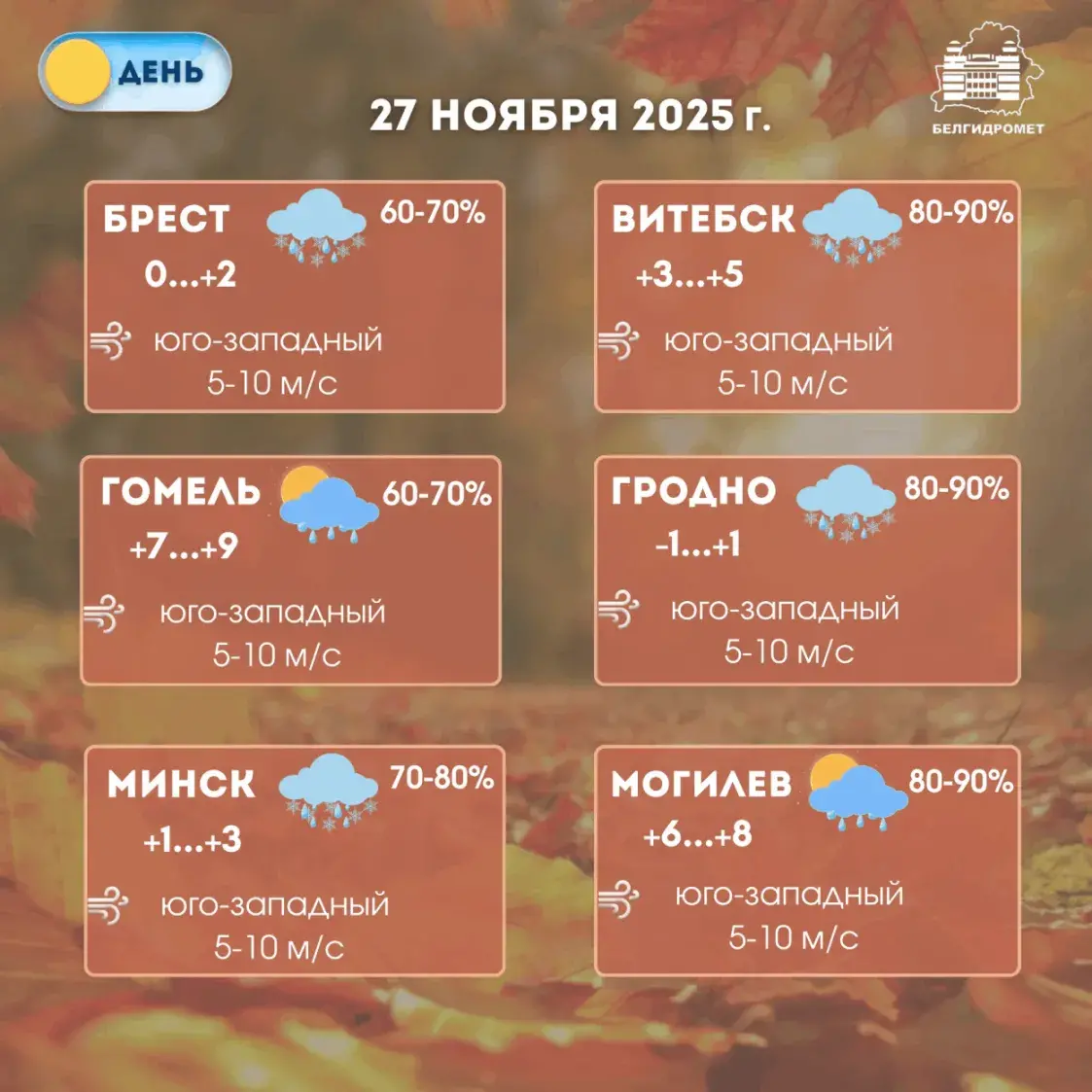 У чацвер у асобных раёнах Беларусі прагназуюць туман