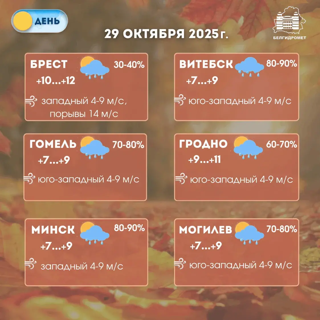 У сераду ў Беларусі чакаюцца дажджы і парывісты вецер