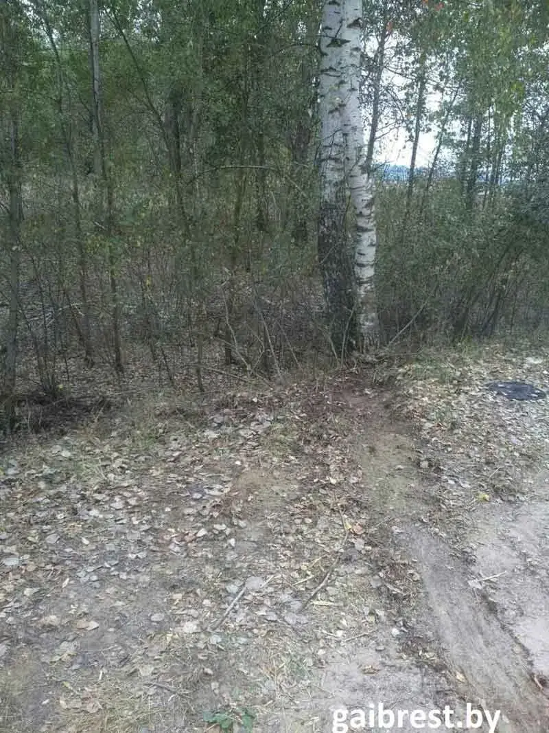 Пад Столінам разбіўся аўтамабіль з чатырма дзецьмі (фота)
