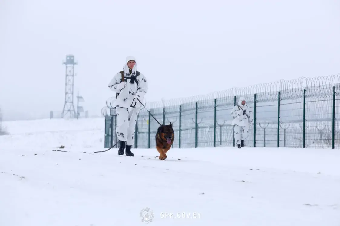 Памежнікі палічылі колькасць украінскіх войскаў на мяжы з Беларуссю