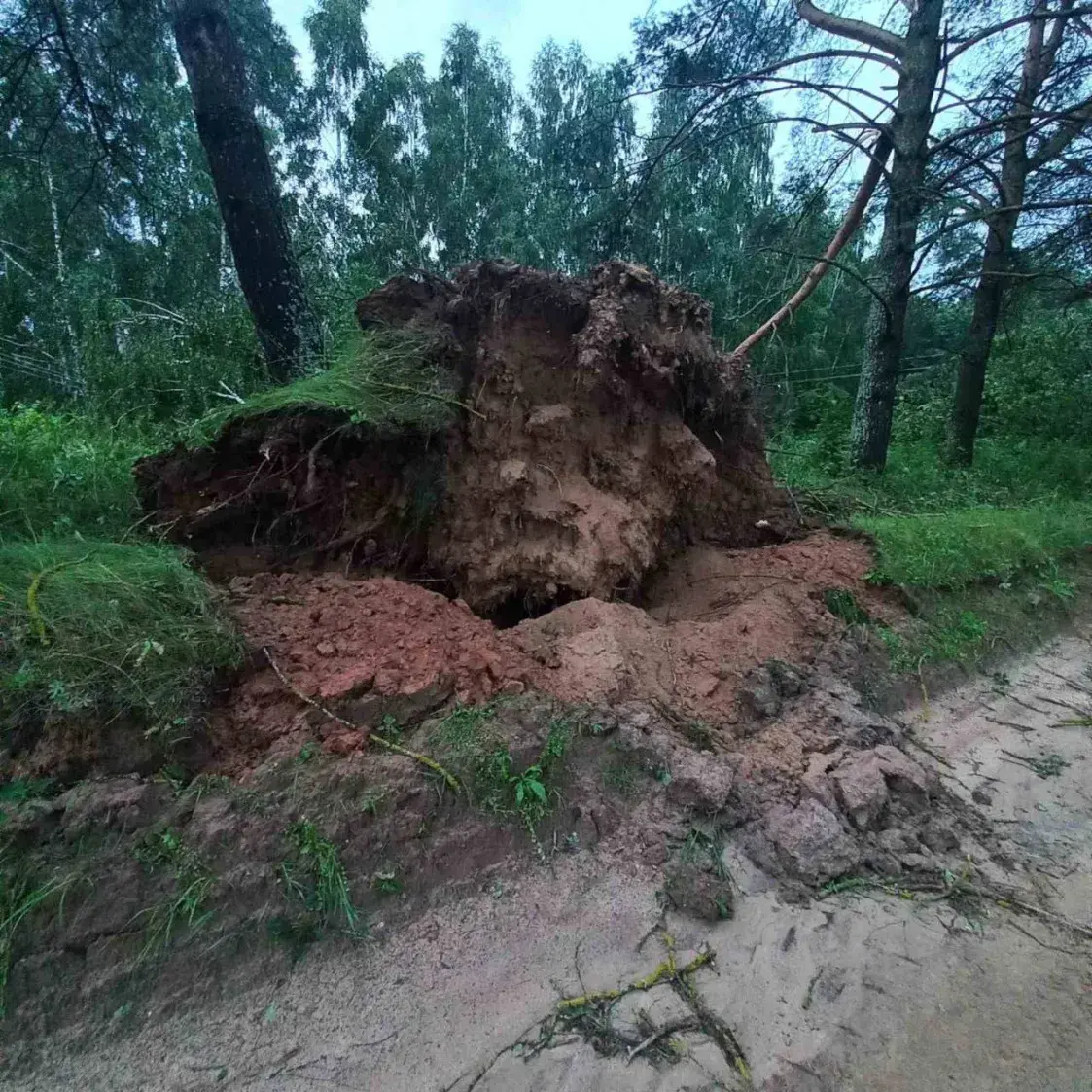 Ад урагану найбольш пацярпелі Полацкі, Барысаўскі, Слуцкі, Ушацкі раёны