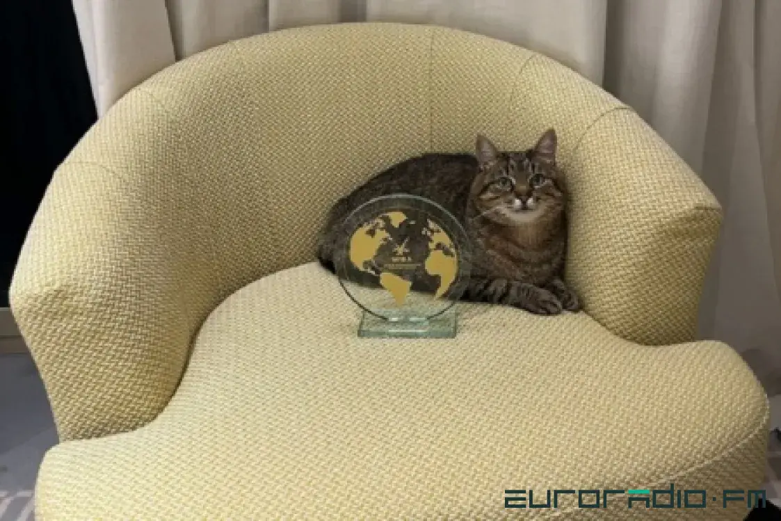 Их нравы: Маск vs демократы, бунт скандинавов, психолог для раков и кот Степан