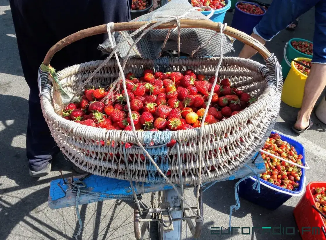 Колькі каштуюць ягады ў Мінску, на Палессі і ў Польшчы
