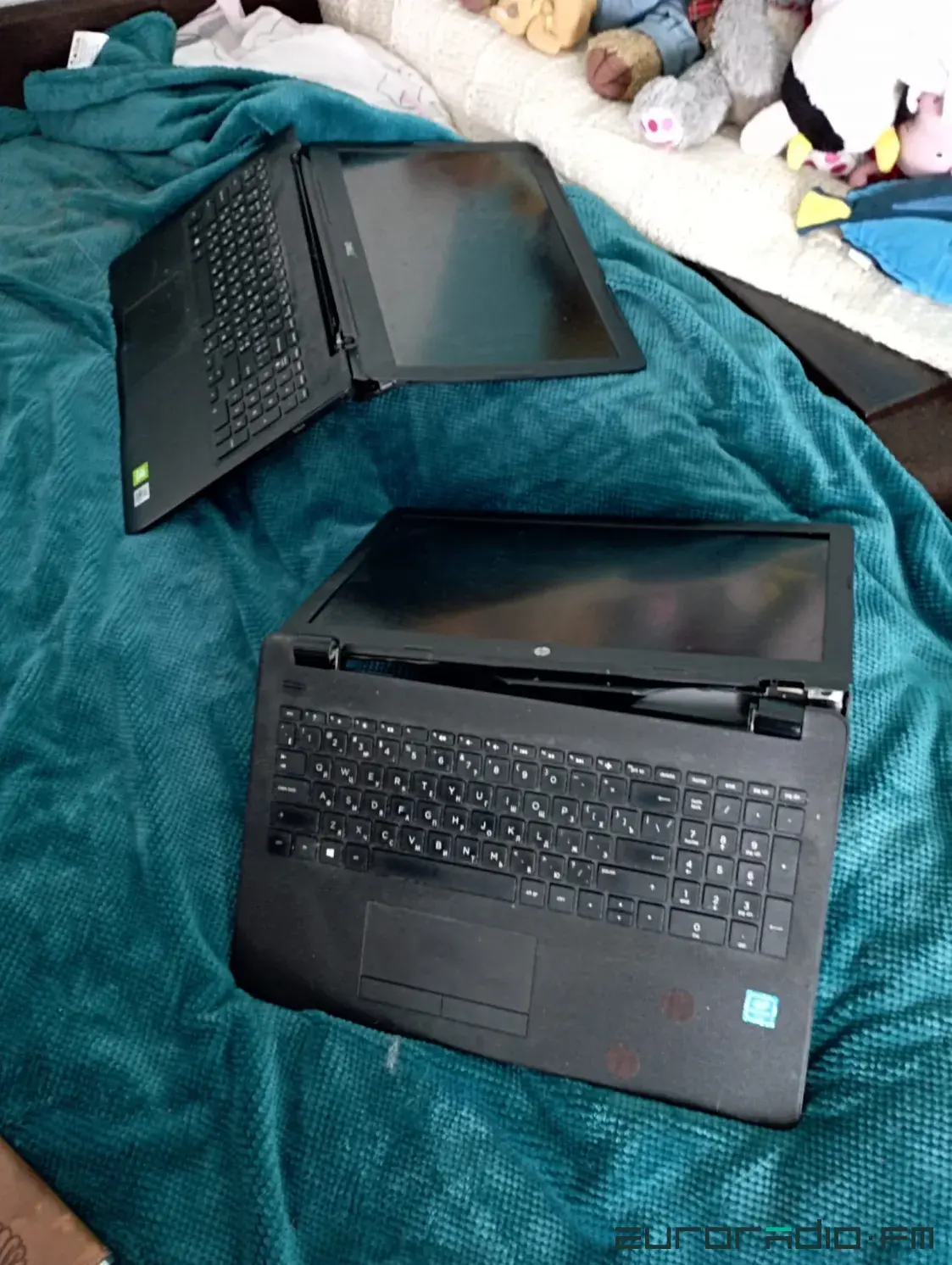 Беларускі пісьменнік вярнуўся ў Бучу: забралі дрыль, змяшальнік, пусцілі галубоў