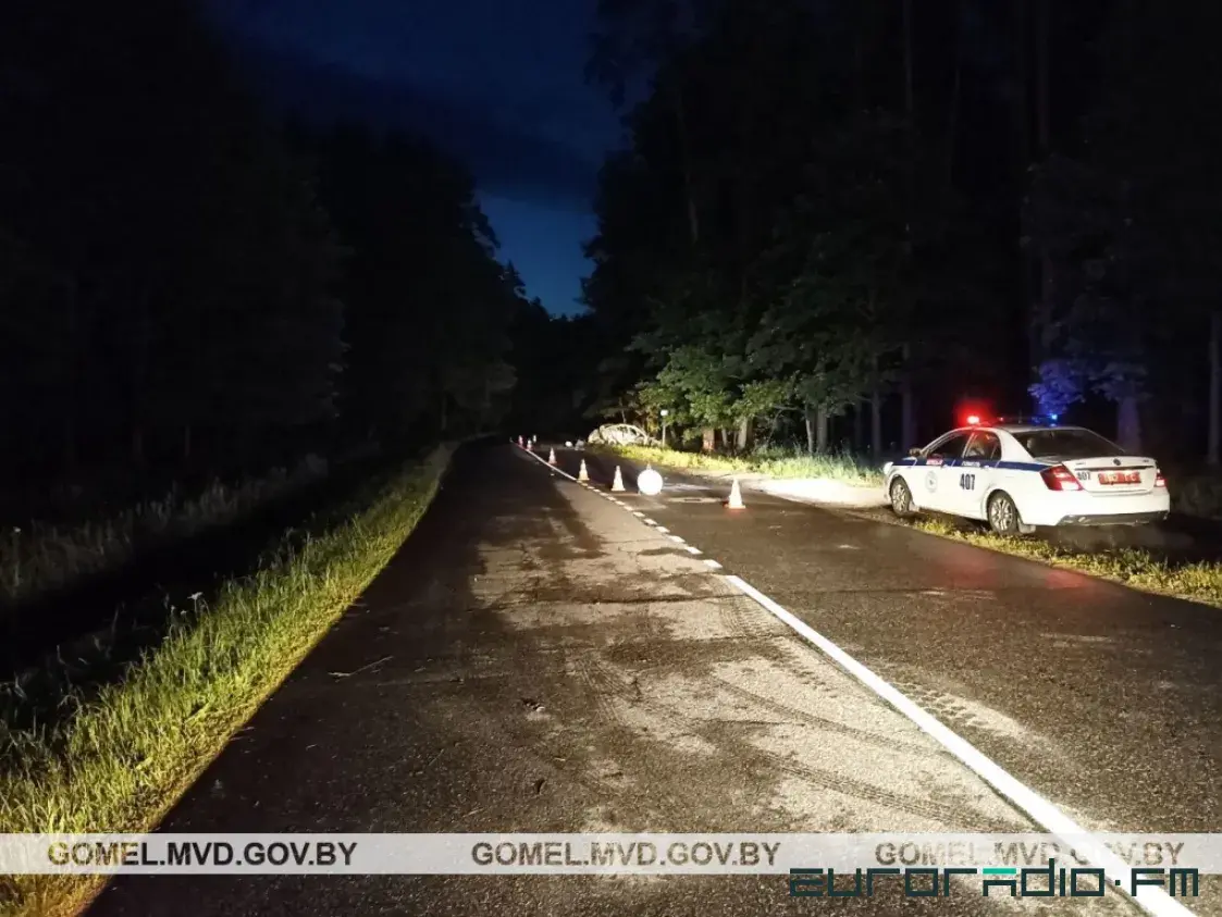 Уначы пад Гомелем згарэў легкавік, кіроўца загінуў